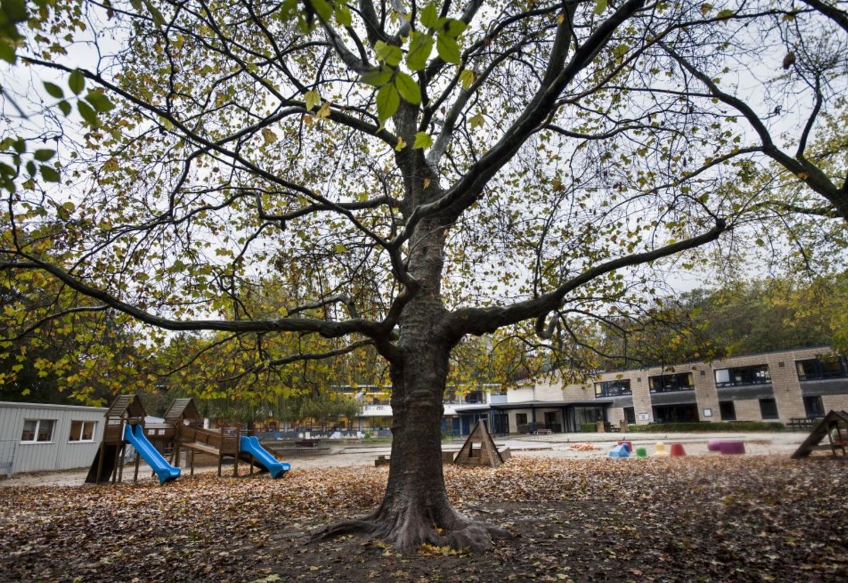 Ecole Arc-en-ciel (Forest)